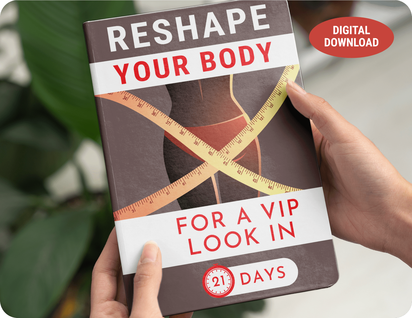 Reshape Your Body For A VIP Look In 21 Days bonus guide